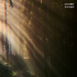 Pas De Regrets (LP)