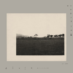 Divin (2LP)