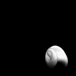 In delicate balance