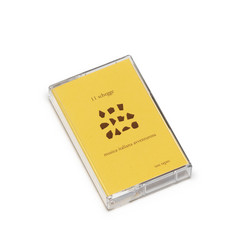 11 schegge. musica italiana avventurosa (Tape)