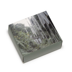 Selected Self-releases 2006-2007 (10CD Box)