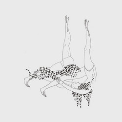 Calisthenics (LP)