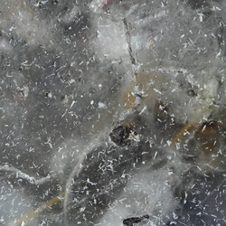 The Fluctuation Of Being