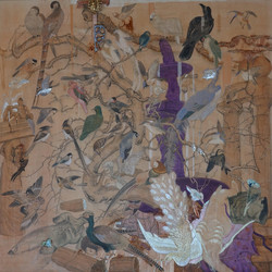 Birdy Island (LP)