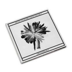 Devon Folklore Tapes Volume V: Ornithology (2z10")