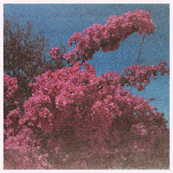 Picture a Frame (LP)