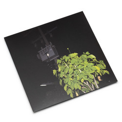 Down On Darkened Meetings (LP)