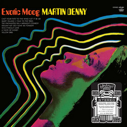 Exotic Moog (LP)