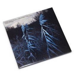 Cantor Park (LP, Blue Vinyl)