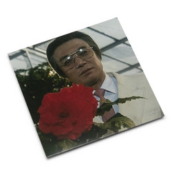 The Rapist (LP)