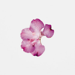 Music For Zoe