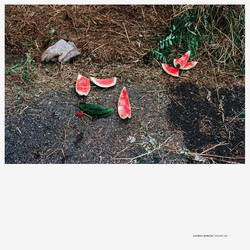 Palsecam (LP)