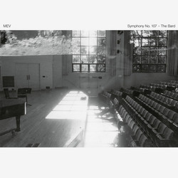 Symphony No. 107 - The Bard (LP)