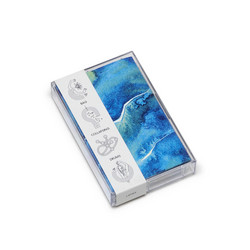 Momentary Lapses (Tape)