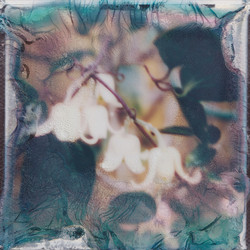 Eye of the Sea (LP)