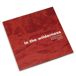 In The Wilderness (LP)