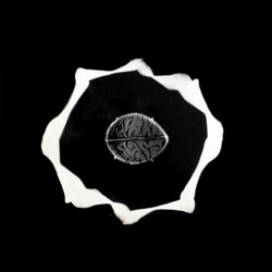 Genius Of Original Force (LP)
