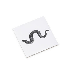 Eel