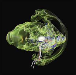 Psychoacoustic Electronics (3LP)
