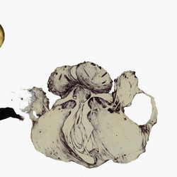 The Ape Of Naples (2LP)