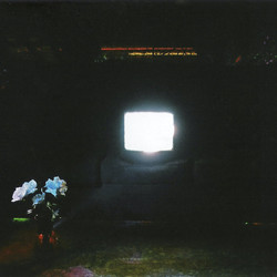 Does it look like I'm here? (2LP, Ectoplasm)