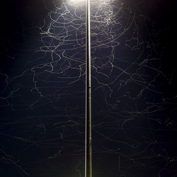 Decayed Signals (LP)