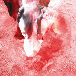 Moonlight Shadoh (LP)
