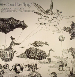 We Could Be Flying (LP)