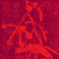 Incorporeal (LP)