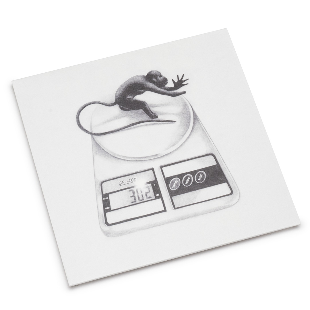 Voice Actor – Fake Sleep (LP) – Soundohm