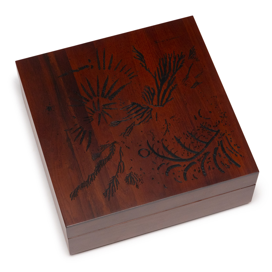 Zoviet France Chasse 34CD+テープ 訂正版CD付き Zoviet France – Châsse ∴ (34 CD Box + Tape) – Soundohm