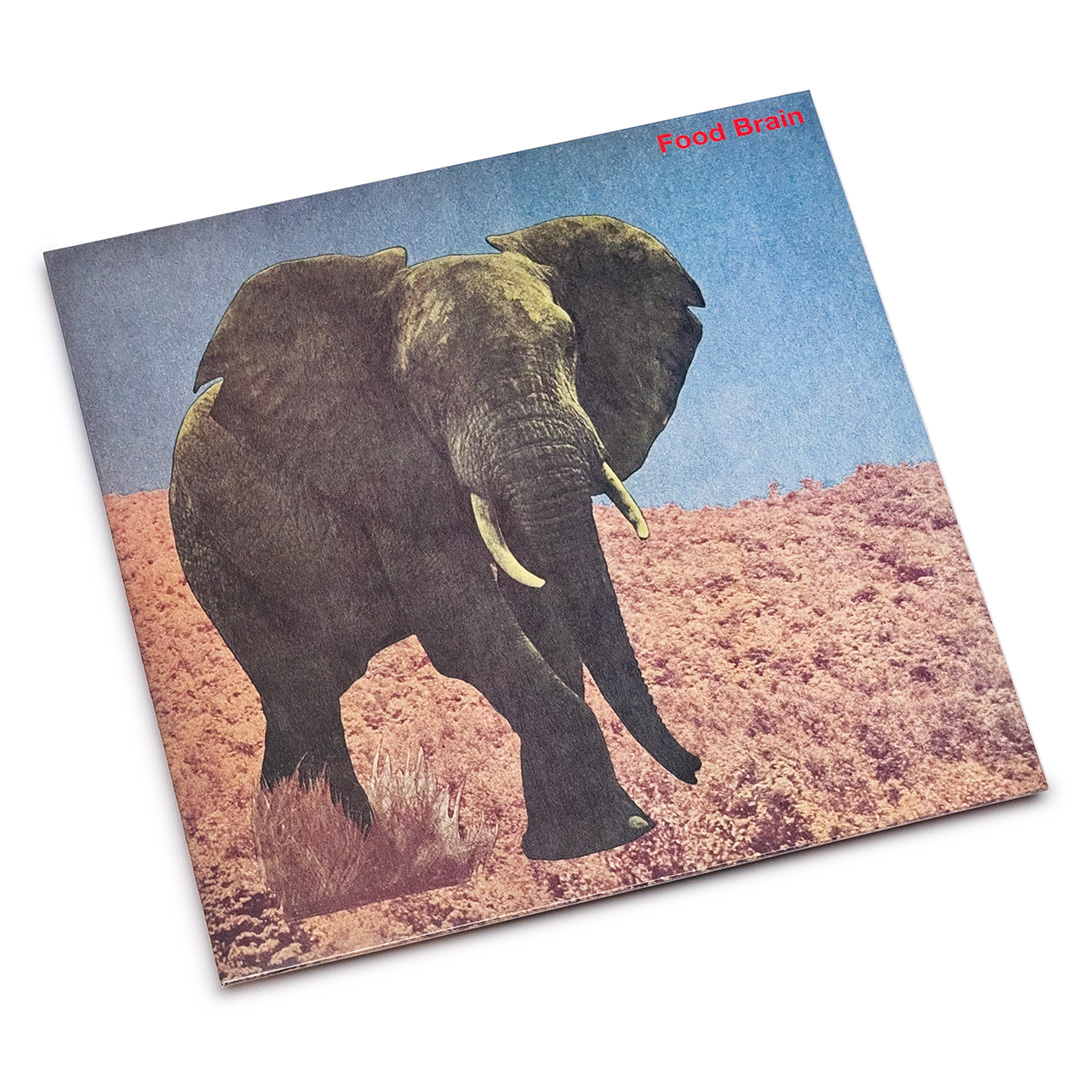 Food Brain – Social Gathering (LP) – Soundohm