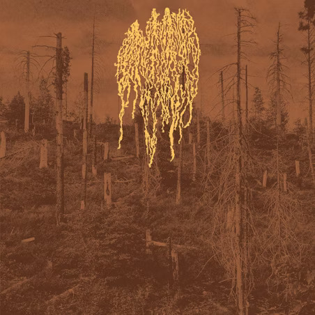 Petrozavodsk – Forest Fire (LP) – Soundohm