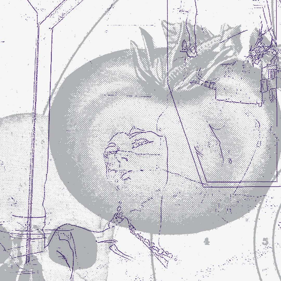 Sissy Spacek, Smegma – Electric Garden – Soundohm