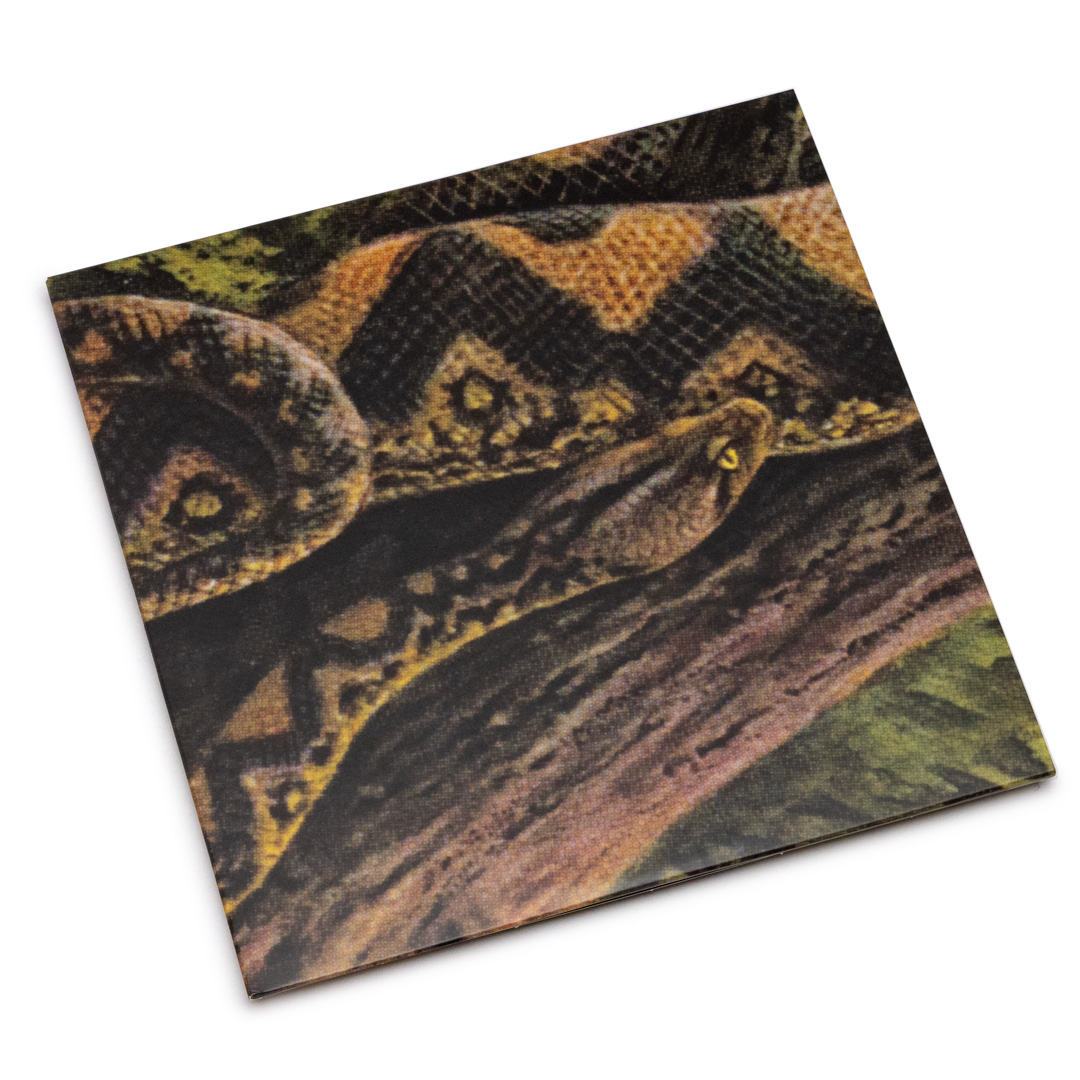Rainforest Spiritual Enslavement – Ambient Black Magic (3LP Rainforest Spiritual Enslavement – Ambient Black Magic (3LP